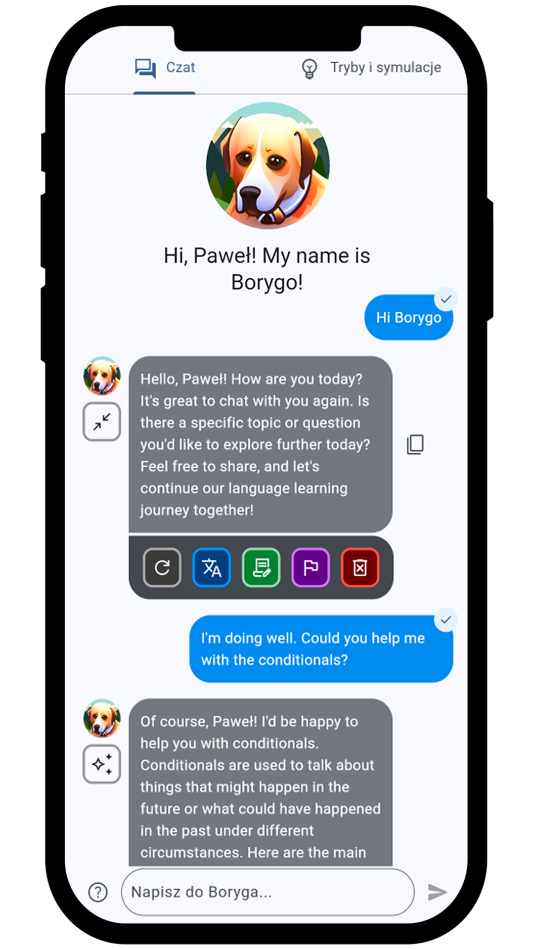 zrzut ekranu przedstawiający czat w aplikacji BorygoAI